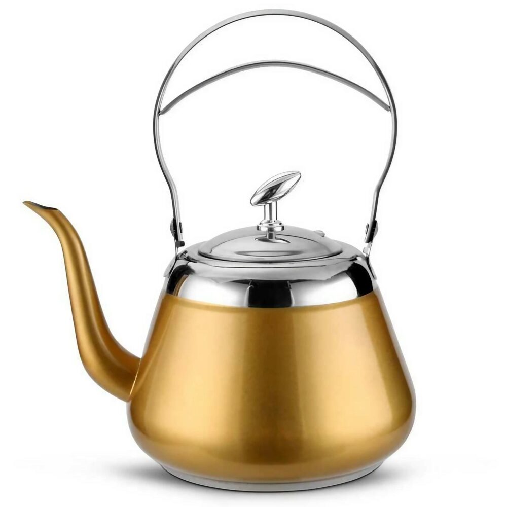 Théière à induction stylé et moderne en acier inoxydable 100